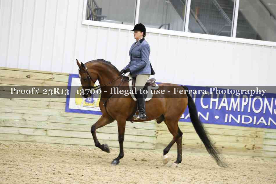 Proof 23R13_13700