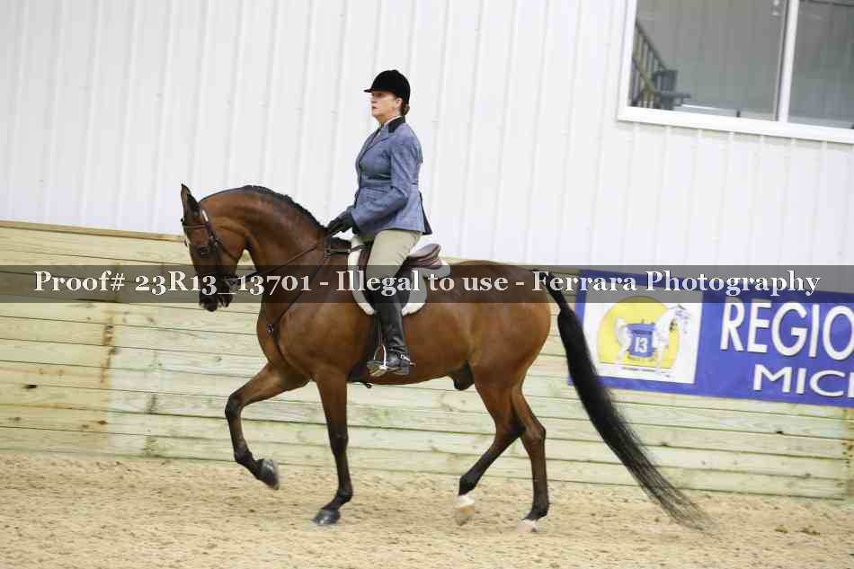 Proof 23R13_13701