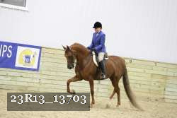 23R13_13703 proof
