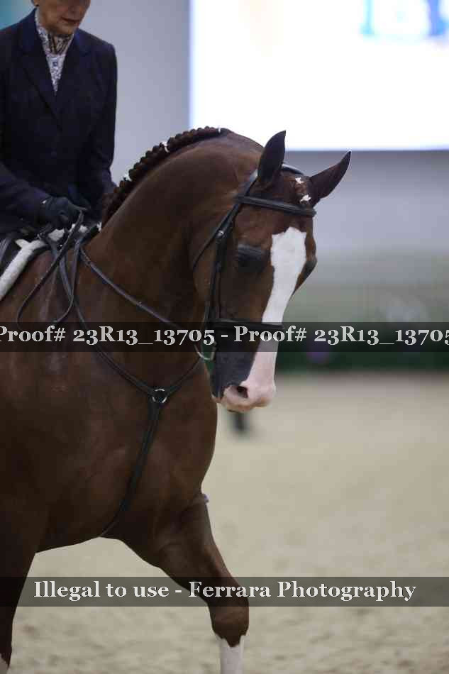 Proof 23R13_13705