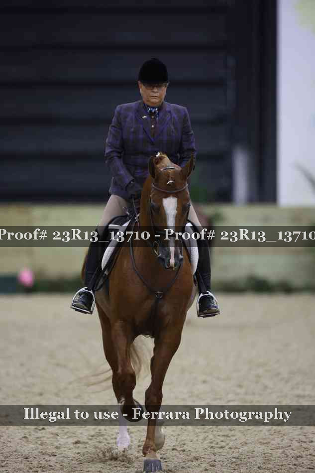 Proof 23R13_13710