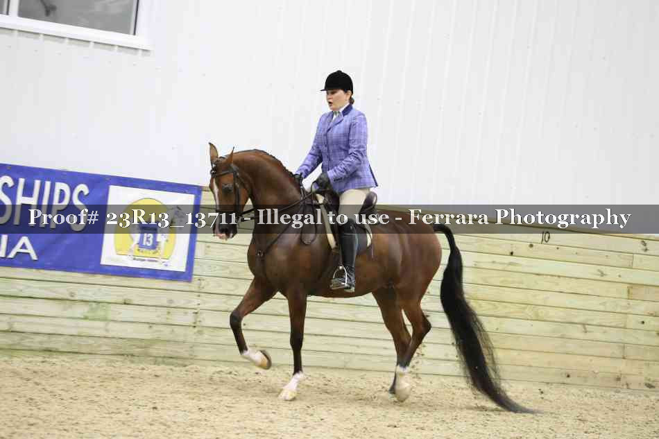 Proof 23R13_13711