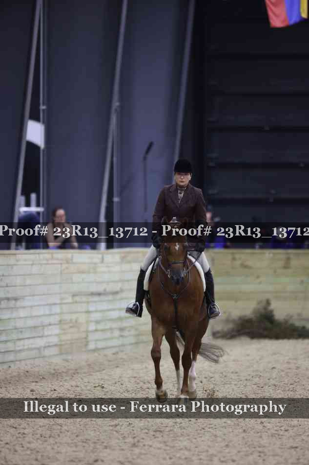 Proof 23R13_13712