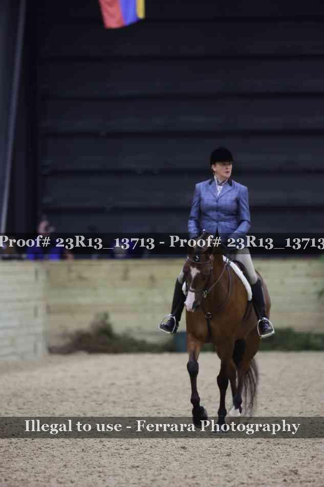 Proof 23R13_13713