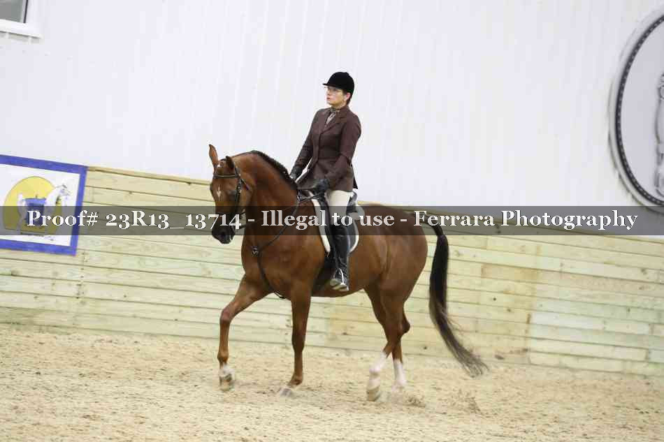 Proof 23R13_13714