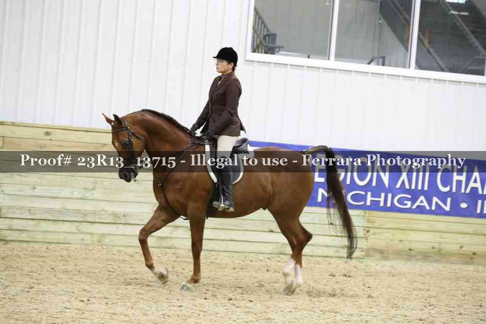 Proof 23R13_13715