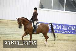 23R13_13715 proof