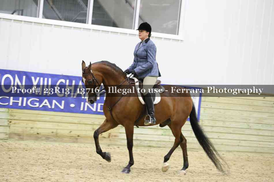 Proof 23R13_13716