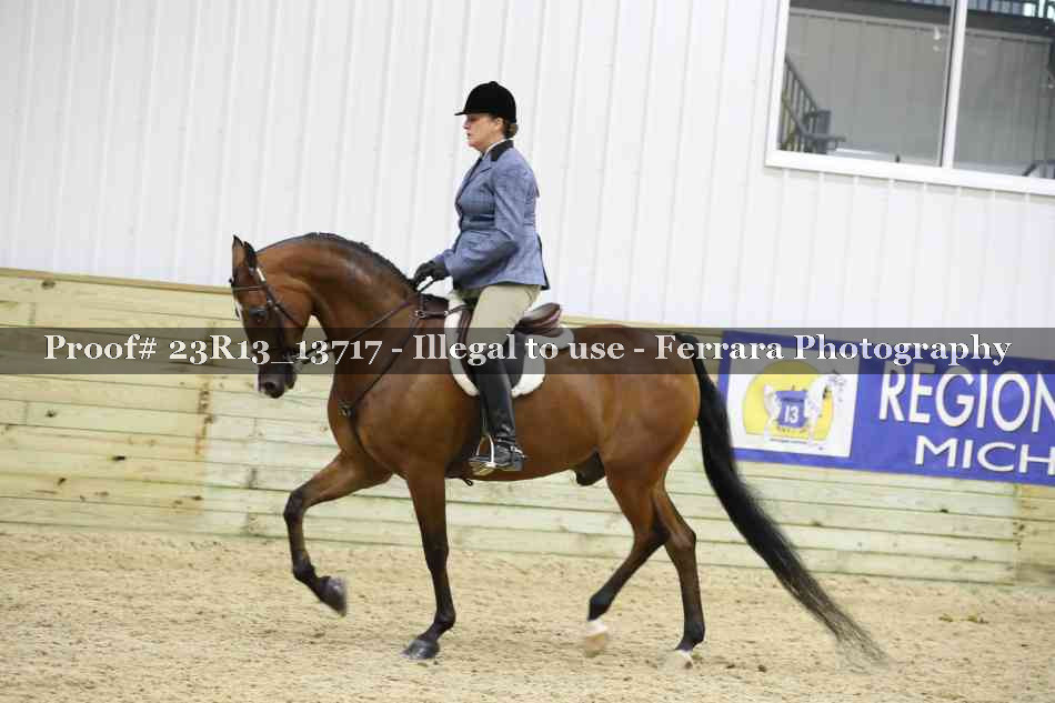 Proof 23R13_13717