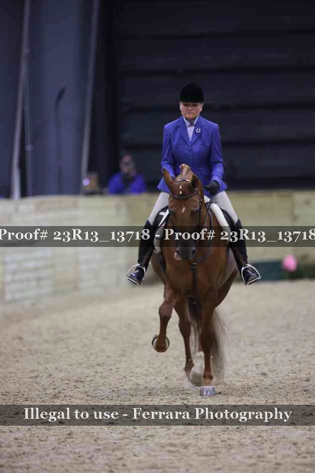 Proof 23R13_13718