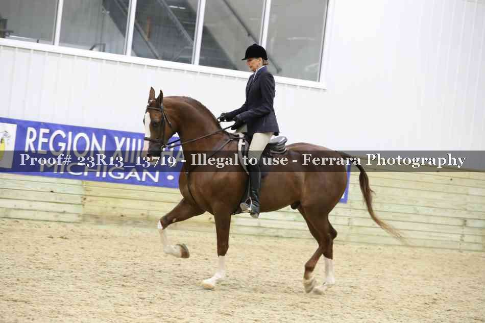 Proof 23R13_13719
