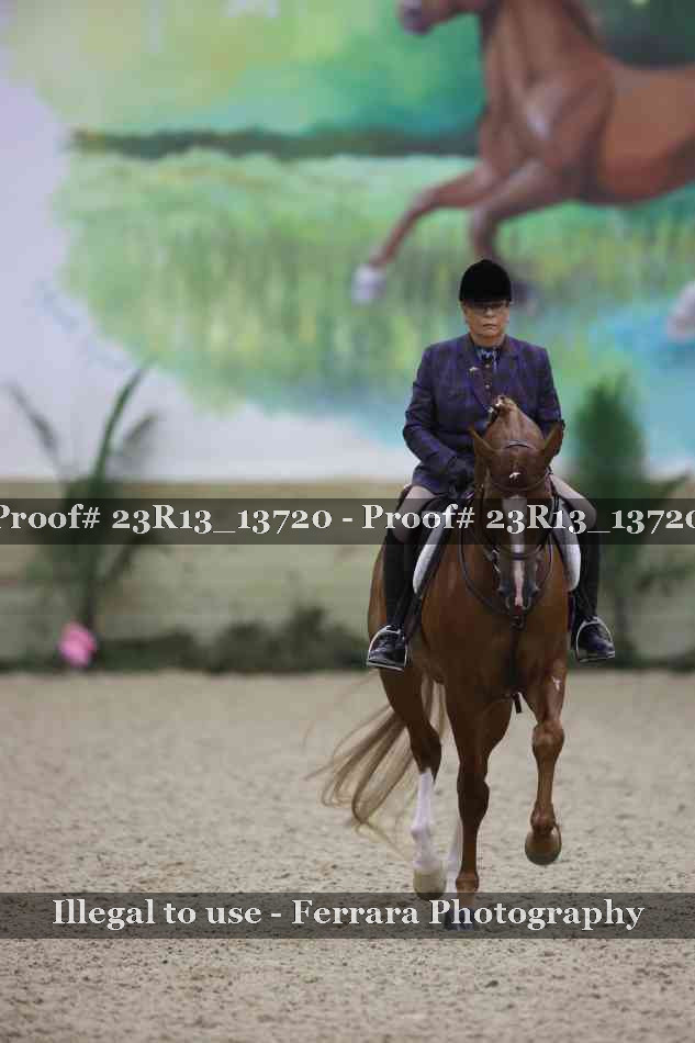 Proof 23R13_13720