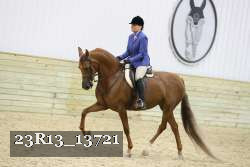 23R13_13721 proof
