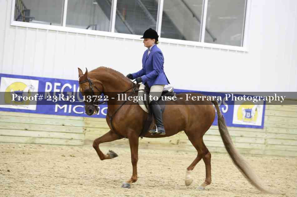 Proof 23R13_13722