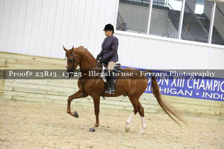 Proof 23R13_13723
