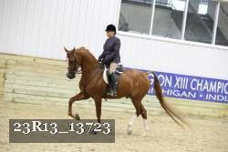 23R13_13723 proof