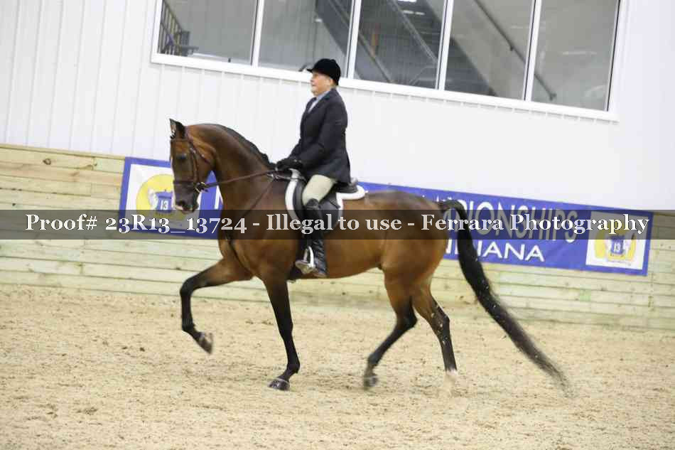 Proof 23R13_13724