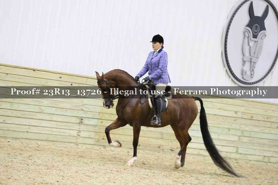 Proof 23R13_13726
