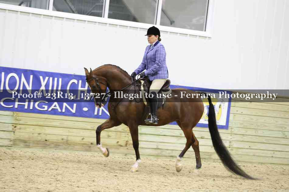 Proof 23R13_13727