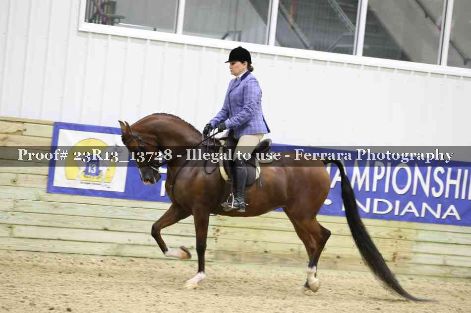 Proof 23R13_13728