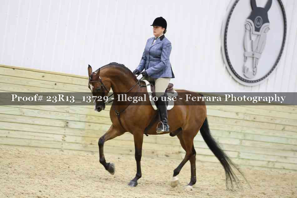 Proof 23R13_13729
