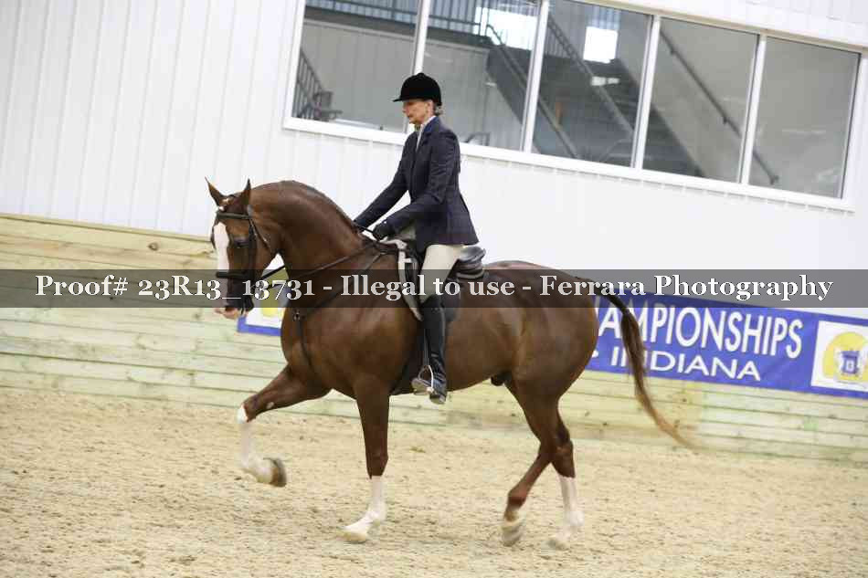 Proof 23R13_13731
