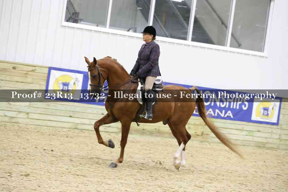 Proof 23R13_13732