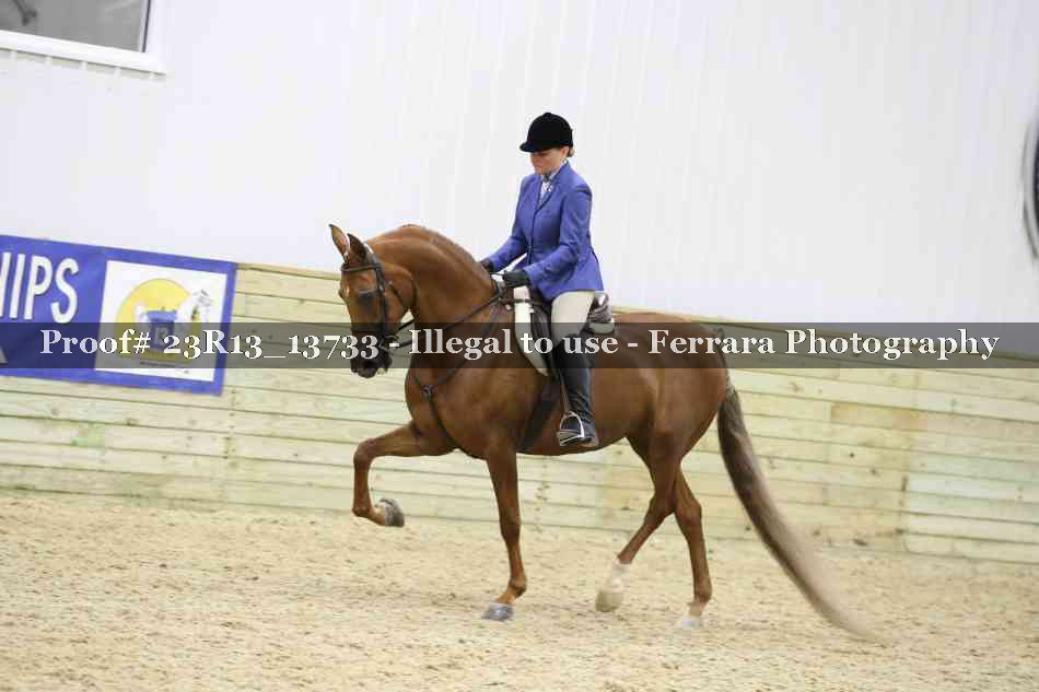 Proof 23R13_13733