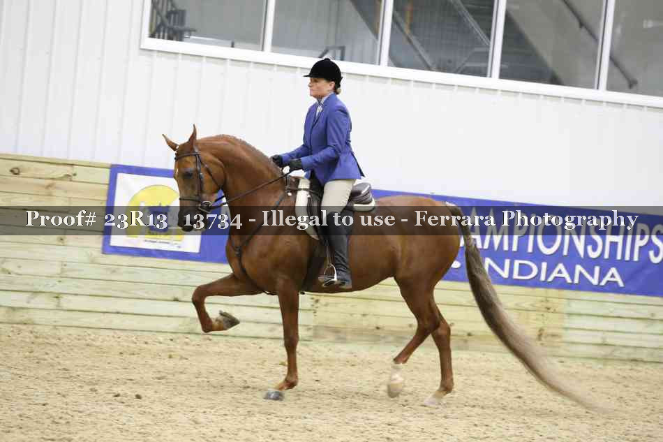 Proof 23R13_13734