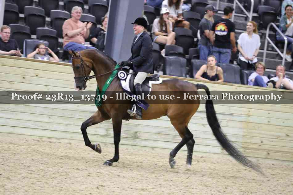 Proof 23R13_13749