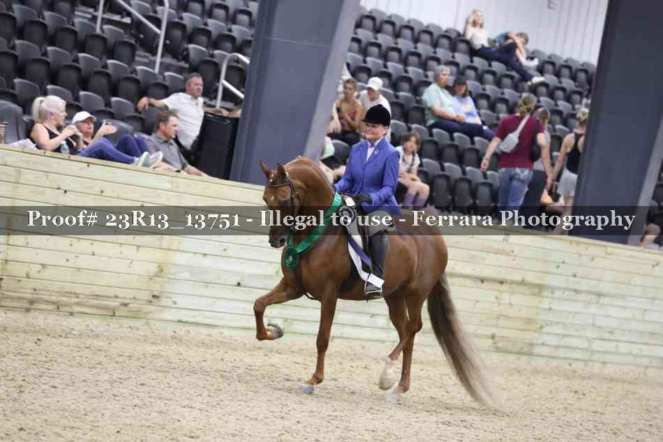 Proof 23R13_13751
