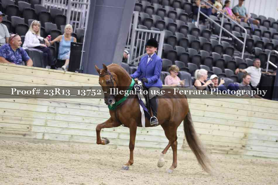 Proof 23R13_13752