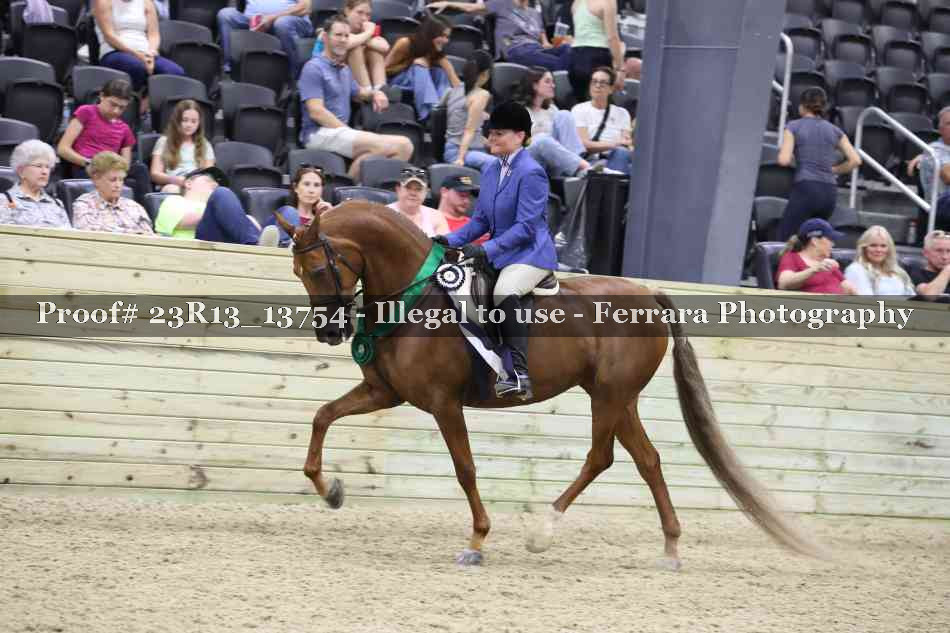 Proof 23R13_13754