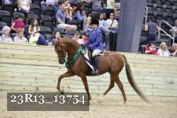 23R13_13754 proof