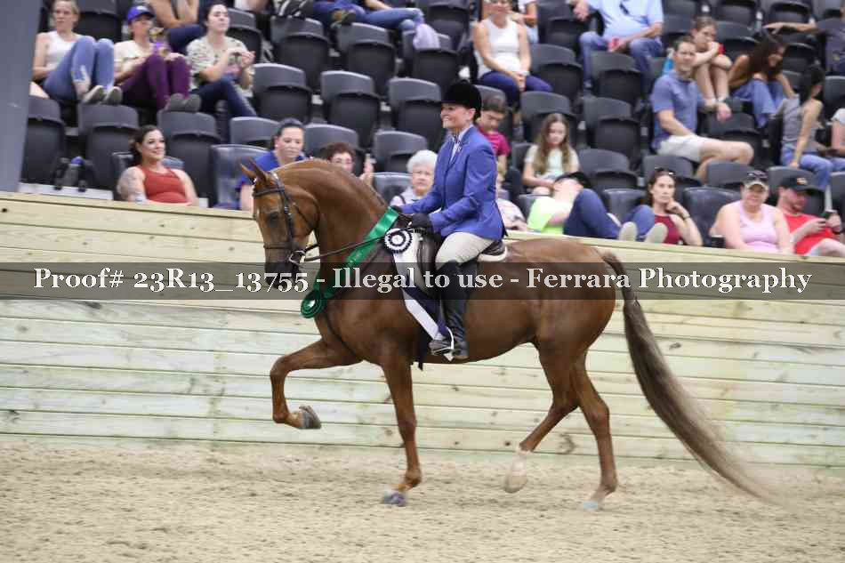 Proof 23R13_13755