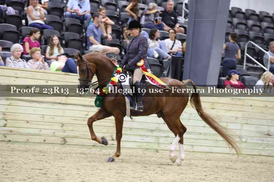 Proof 23R13_13764
