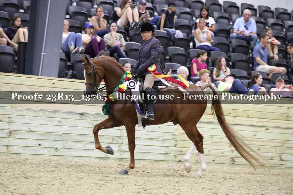 Proof 23R13_13765