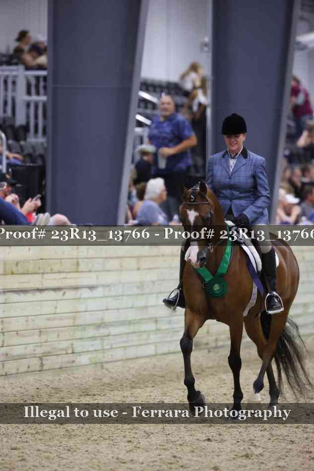 Proof 23R13_13766