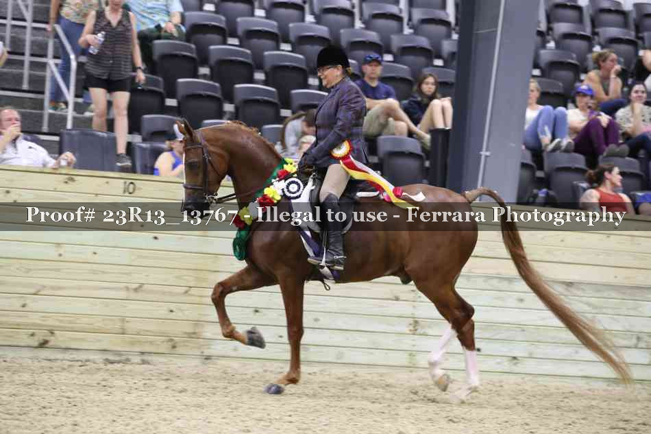 Proof 23R13_13767