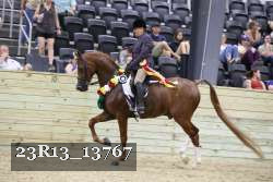 23R13_13767 proof