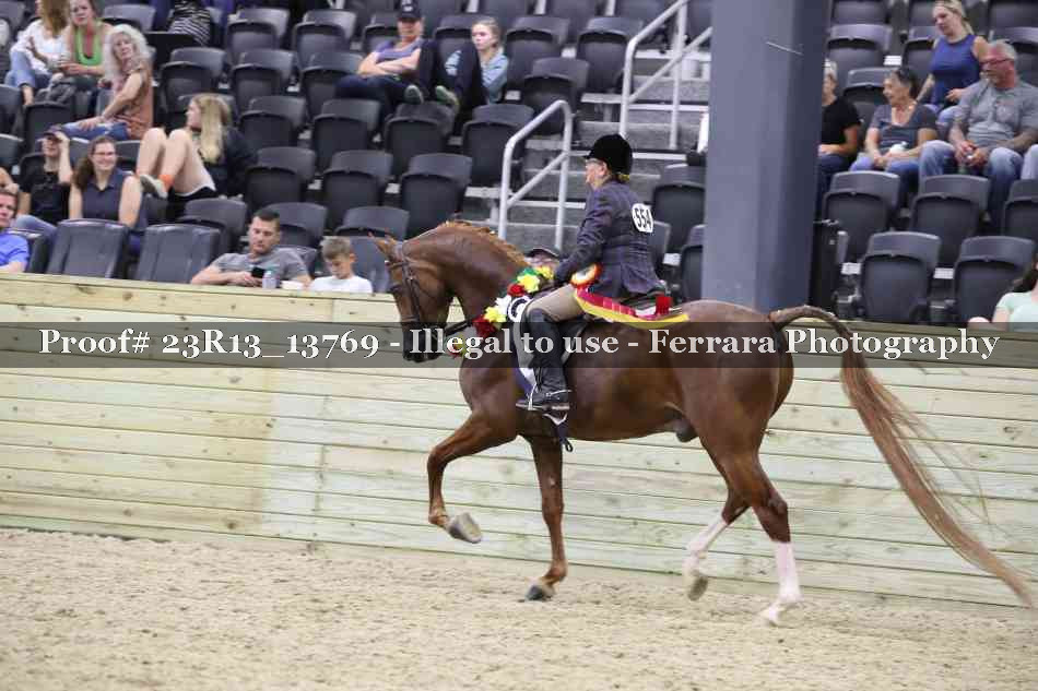 Proof 23R13_13769