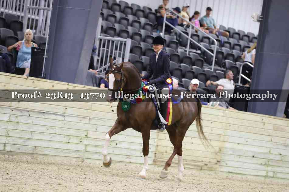 Proof 23R13_13770