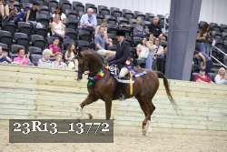 23R13_13772 proof