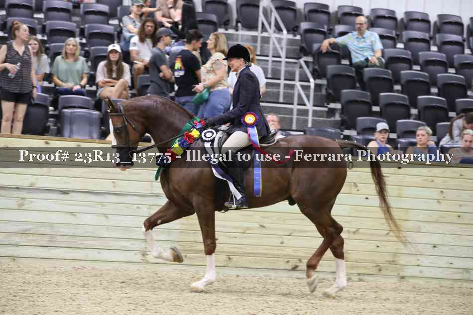 Proof 23R13_13775