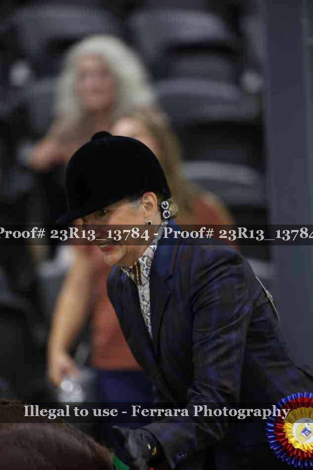 Proof 23R13_13784