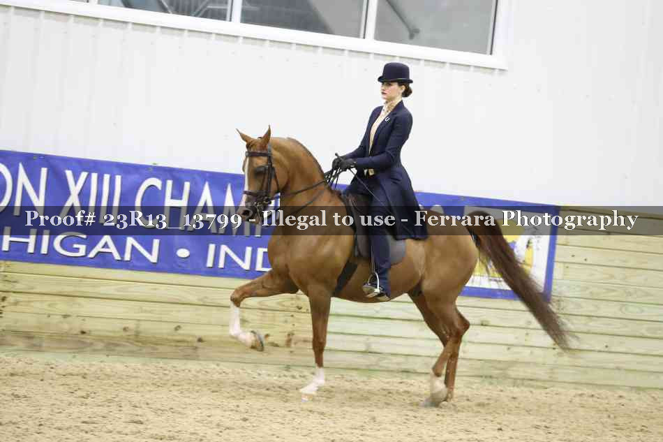 Proof 23R13_13799