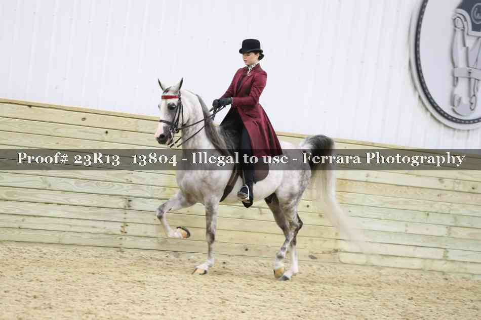 Proof 23R13_13804