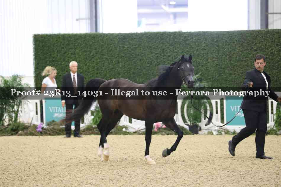 Proof 23R13_14031