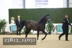 23R13_14031 proof