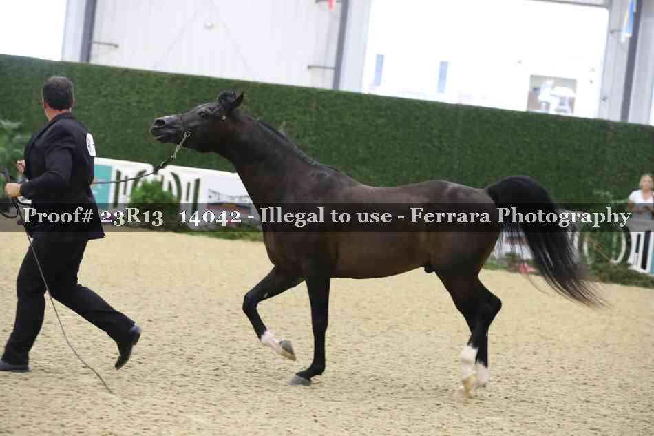 Proof 23R13_14042